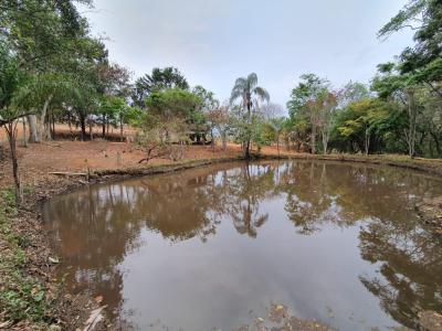 CHÁCARA / SÍTIO EM OURO FINO