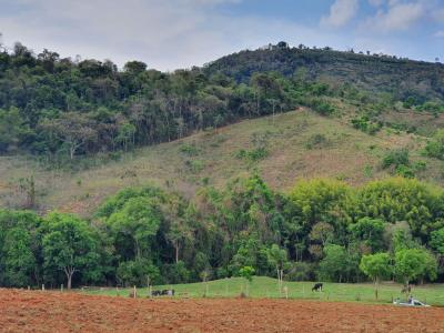 FAZENDA EM JACUTINGA