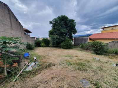 TERRENO PADRÃO EM OURO FINO